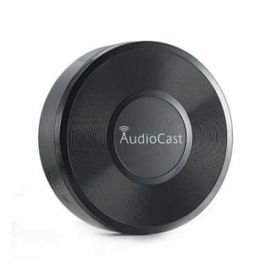 iEAST AudioCast M5, streamingadapter