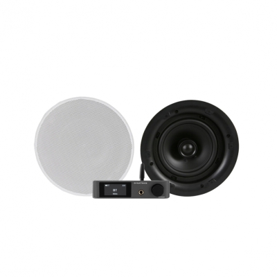 Dynavoice CA802BT med DLS IC624, inbyggnadspaket