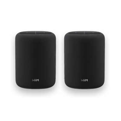 2-pack WiiM Sound Lite smart högtalare, svart